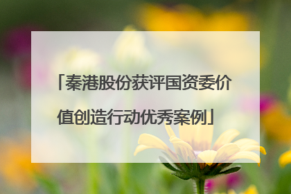秦港股份获评国资委价值创造行动优秀案例