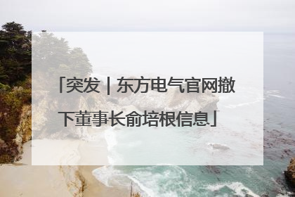 突发｜东方电气官网撤下董事长俞培根信息