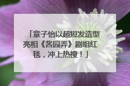 章子怡以超短发造型亮相《酱园弄》剧组红毯，冲上热搜！