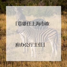 章雄任上海市政府办公厅主任