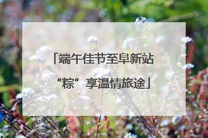 端午佳节至阜新站“粽”享温情旅途