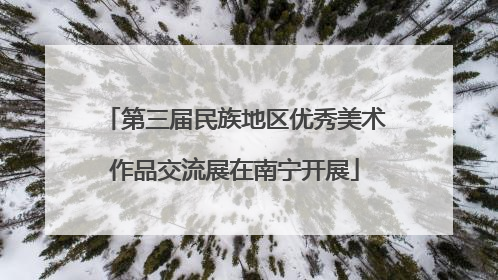第三届民族地区优秀美术作品交流展在南宁开展