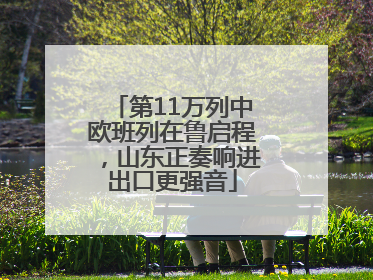 第11万列中欧班列在鲁启程，山东正奏响进出口更强音