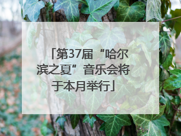 第37届“哈尔滨之夏”音乐会将于本月举行