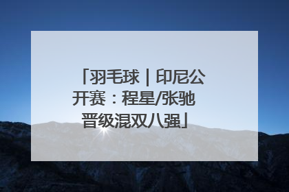 羽毛球｜印尼公开赛：程星/张驰晋级混双八强