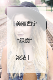 美丽西宁 “绿意”浓浓