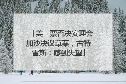 美一票否决安理会加沙决议草案，古特雷斯：感到失望