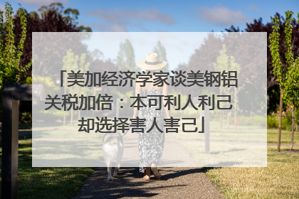 美加经济学家谈美钢铝关税加倍：本可利人利己 却选择害人害己