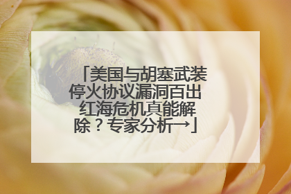美国与胡塞武装停火协议漏洞百出 红海危机真能解除？专家分析→