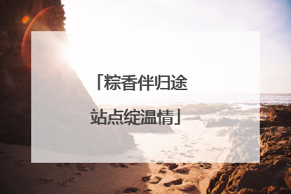 粽香伴归途 站点绽温情