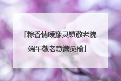 粽香情暖豫灵镇敬老院 端午敬老意满桑榆