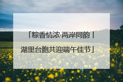 粽香情浓·两岸同韵丨湖里台胞共迎端午佳节