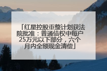 红星控股重整计划获法院批准：普通债权中每户25万元以下部分，六个月内全额现金清偿
