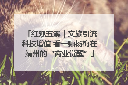 红观五溪｜文旅引流 科技增值 看一颗杨梅在靖州的“商业觉醒”