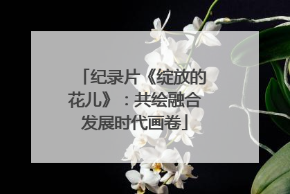 纪录片《绽放的花儿》：共绘融合发展时代画卷