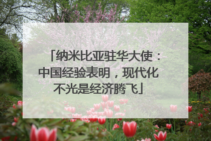 纳米比亚驻华大使：中国经验表明，现代化不光是经济腾飞