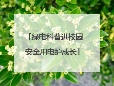绿电科普进校园 安全用电护成长