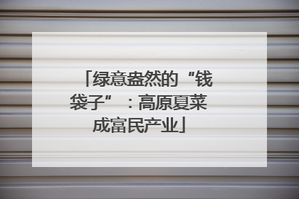 绿意盎然的“钱袋子”：高原夏菜成富民产业