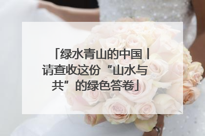 绿水青山的中国丨请查收这份“山水与共”的绿色答卷