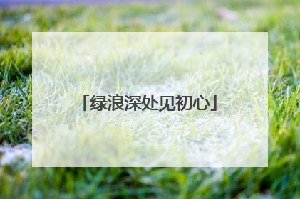 绿浪深处见初心