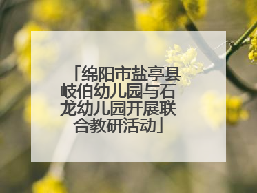 绵阳市盐亭县岐伯幼儿园与石龙幼儿园开展联合教研活动