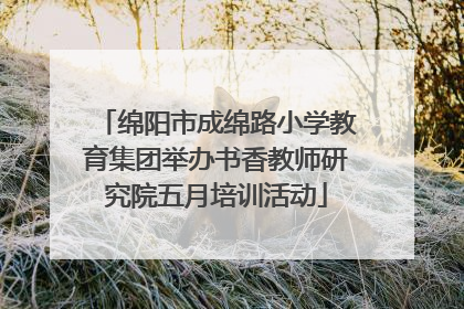 绵阳市成绵路小学教育集团举办书香教师研究院五月培训活动