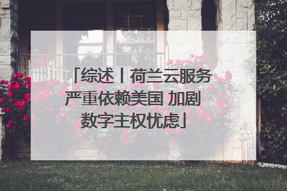 综述丨荷兰云服务严重依赖美国 加剧数字主权忧虑