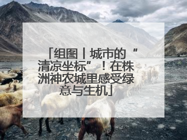 组图丨城市的“清凉坐标”！在株洲神农城里感受绿意与生机