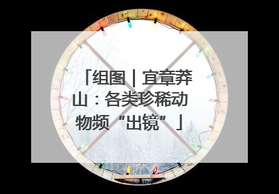 组图｜宜章莽山：各类珍稀动物频“出镜”