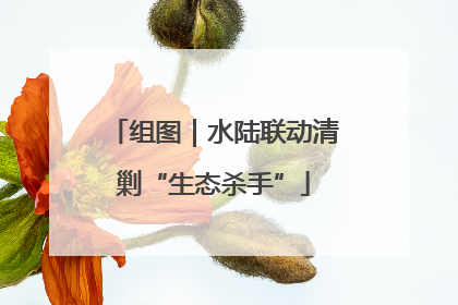 组图｜水陆联动清剿“生态杀手”