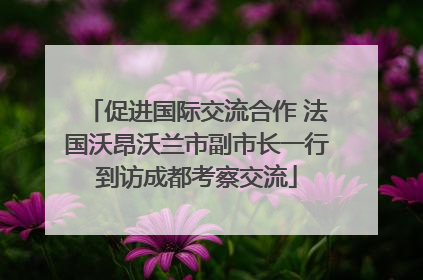 促进国际交流合作 法国沃昂沃兰市副市长一行到访成都考察交流