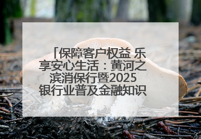 保障客户权益 乐享安心生活：黄河之滨消保行暨2025银行业普及金融知识万里行活动举办