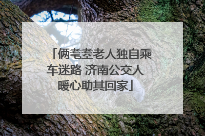 俩耄耋老人独自乘车迷路 济南公交人暖心助其回家