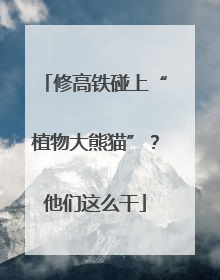 修高铁碰上“植物大熊猫”？他们这么干