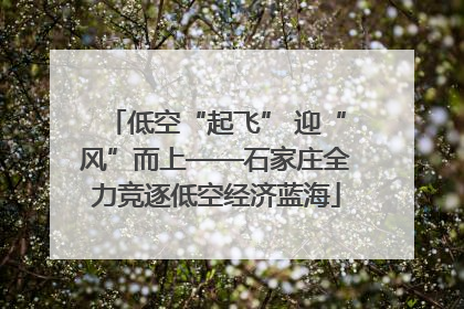 低空“起飞” 迎“风”而上——石家庄全力竞逐低空经济蓝海