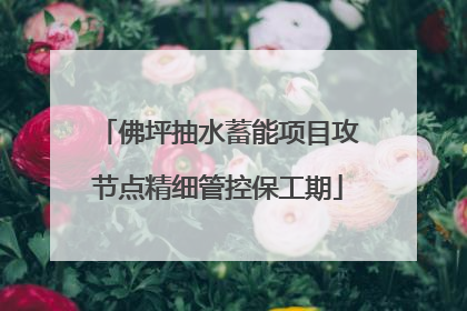 佛坪抽水蓄能项目攻节点精细管控保工期