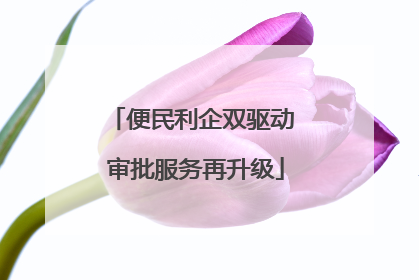 便民利企双驱动 审批服务再升级