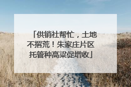 供销社帮忙，土地不撂荒！朱家庄片区托管种高粱促增收