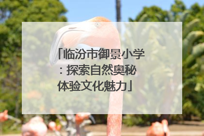 临汾市御景小学：探索自然奥秘 体验文化魅力
