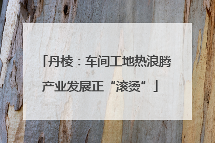 丹棱：车间工地热浪腾产业发展正“滚烫”