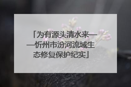 为有源头清水来——忻州市汾河流域生态修复保护纪实