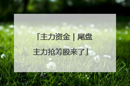 主力资金｜尾盘主力抢筹股来了