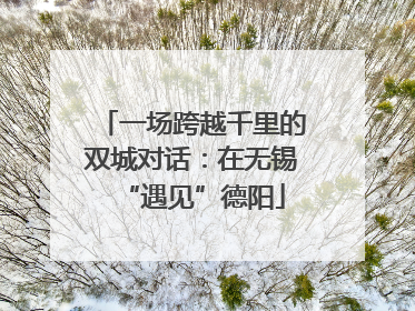 一场跨越千里的双城对话：在无锡“遇见”德阳