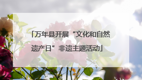 万年县开展“文化和自然遗产日”非遗主题活动