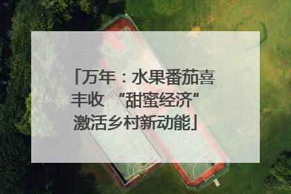 万年：水果番茄喜丰收 “甜蜜经济”激活乡村新动能