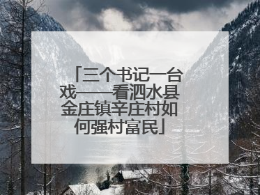 三个书记一台戏——看泗水县金庄镇辛庄村如何强村富民