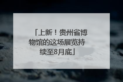 上新！贵州省博物馆的这场展览持续至8月底