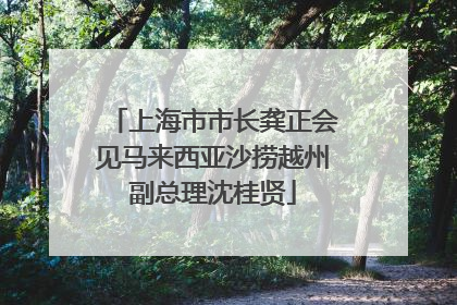 上海市市长龚正会见马来西亚沙捞越州副总理沈桂贤