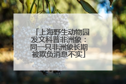 上海野生动物园发文科普非洲象：同一只非洲象长期被欺负消息不实