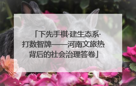 下先手棋·建生态系·打数智牌——河南文旅热背后的社会治理答卷